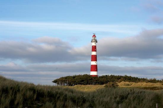 Aphrodite Met Zonnig Terras, Eigen Keuken, Verwarmd Hotel-Zwembad, Nabij Dorp, Duinen En Strand 霍勒姆 客房 照片