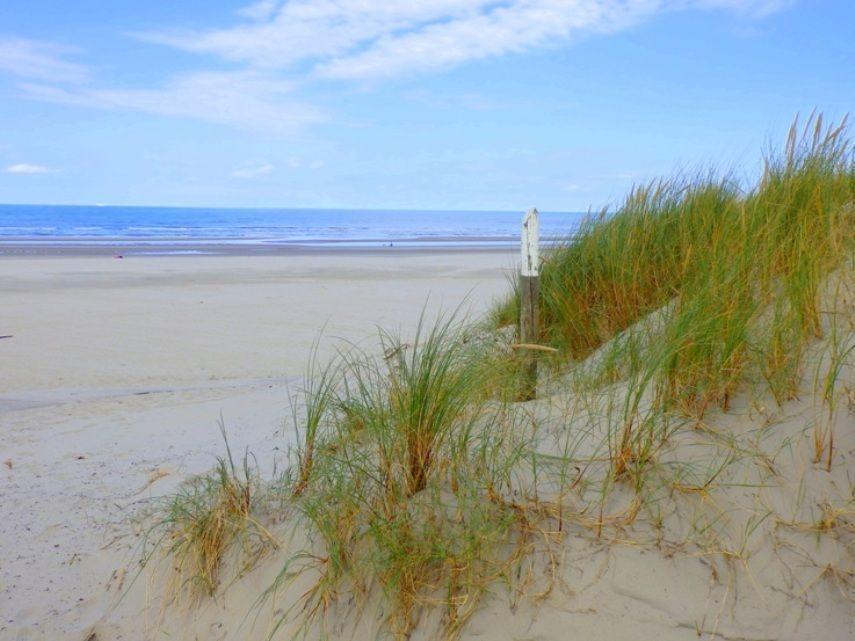 Aphrodite Met Zonnig Terras, Eigen Keuken, Verwarmd Hotel-Zwembad, Nabij Dorp, Duinen En Strand 霍勒姆 外观 照片