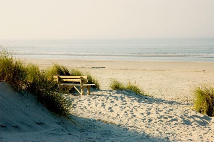 Aphrodite Met Zonnig Terras, Eigen Keuken, Verwarmd Hotel-Zwembad, Nabij Dorp, Duinen En Strand 霍勒姆 外观 照片