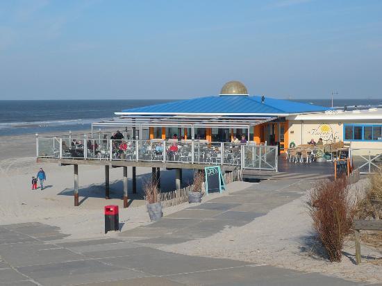 Aphrodite Met Zonnig Terras, Eigen Keuken, Verwarmd Hotel-Zwembad, Nabij Dorp, Duinen En Strand 霍勒姆 外观 照片